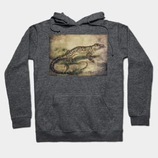 Monitor Amphibian Drawing Vintage Antique Art Hoodie